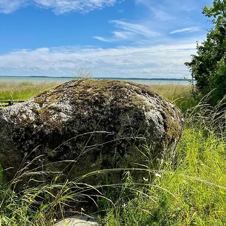 Windy Paadimajutus *