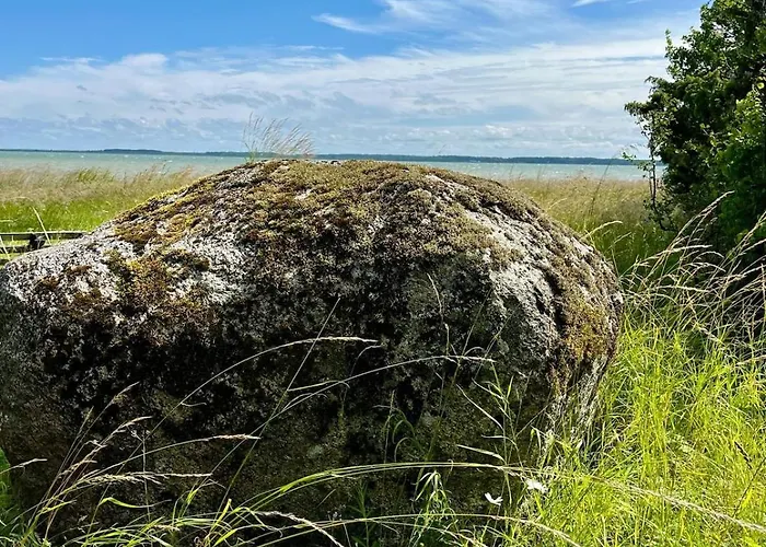 Windy Paadimajutus *